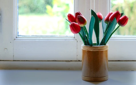 
B&B / HOMESTAYVIEW MORE
