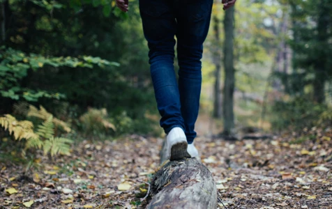 gallery-hikes